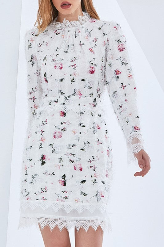 Lace Long Sleeve Mini Dress