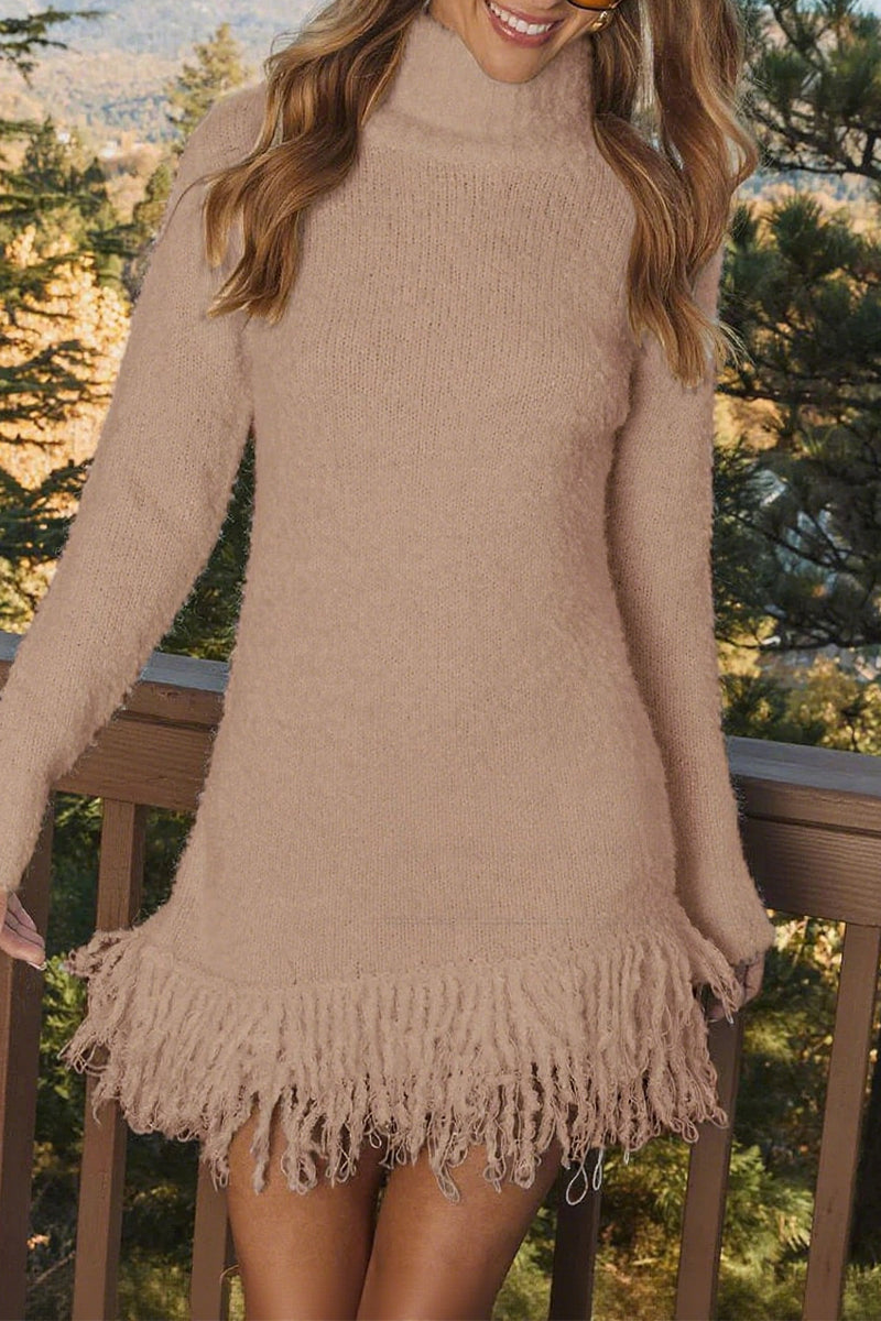 Turtleneck Tassel Knitted Sweater Dress