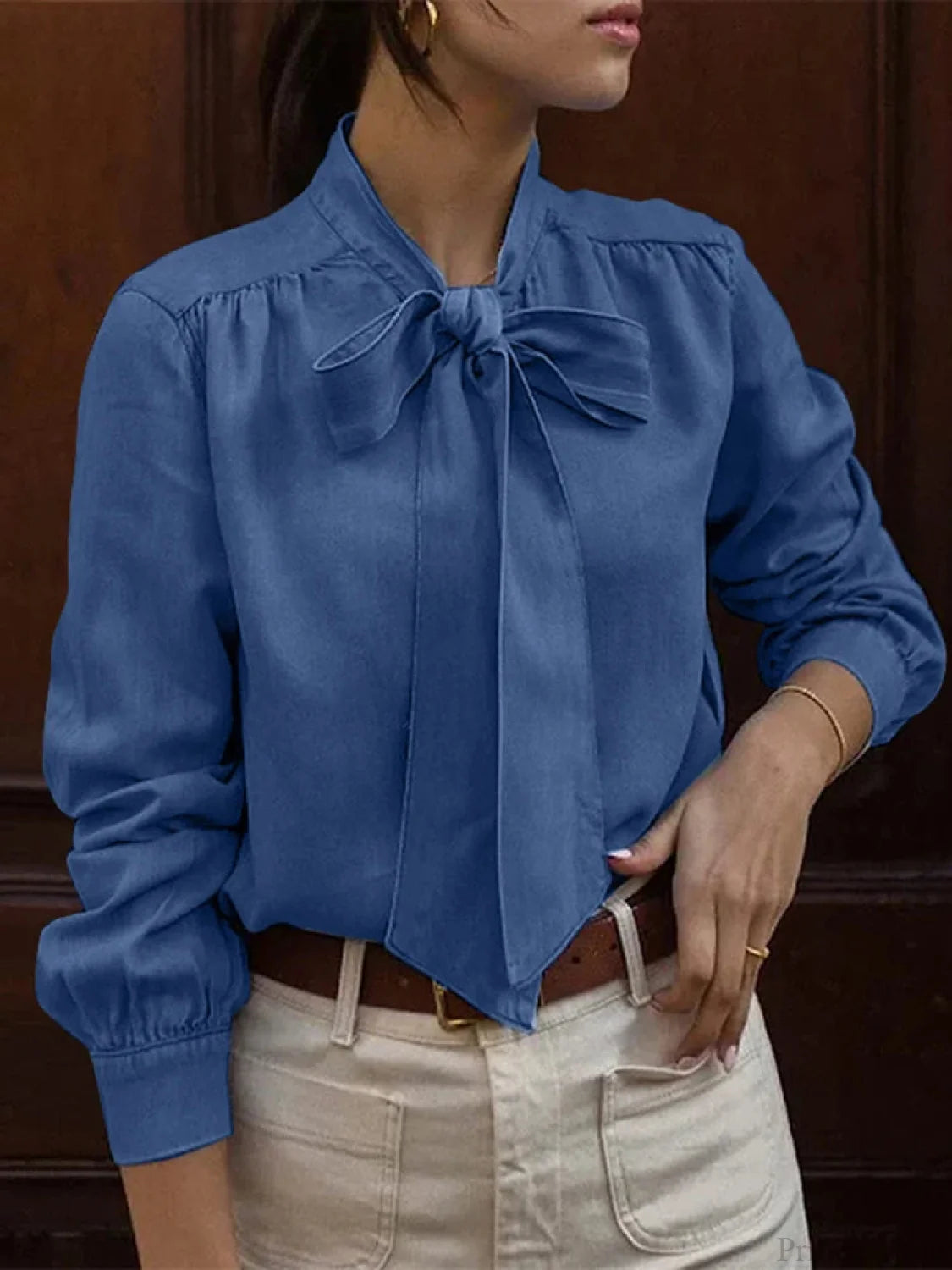 Bowtie Neck Pleating Blouse Blouse