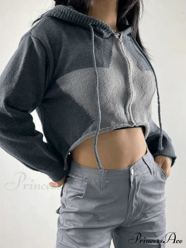 Hooded Color Sweatshirt Dress