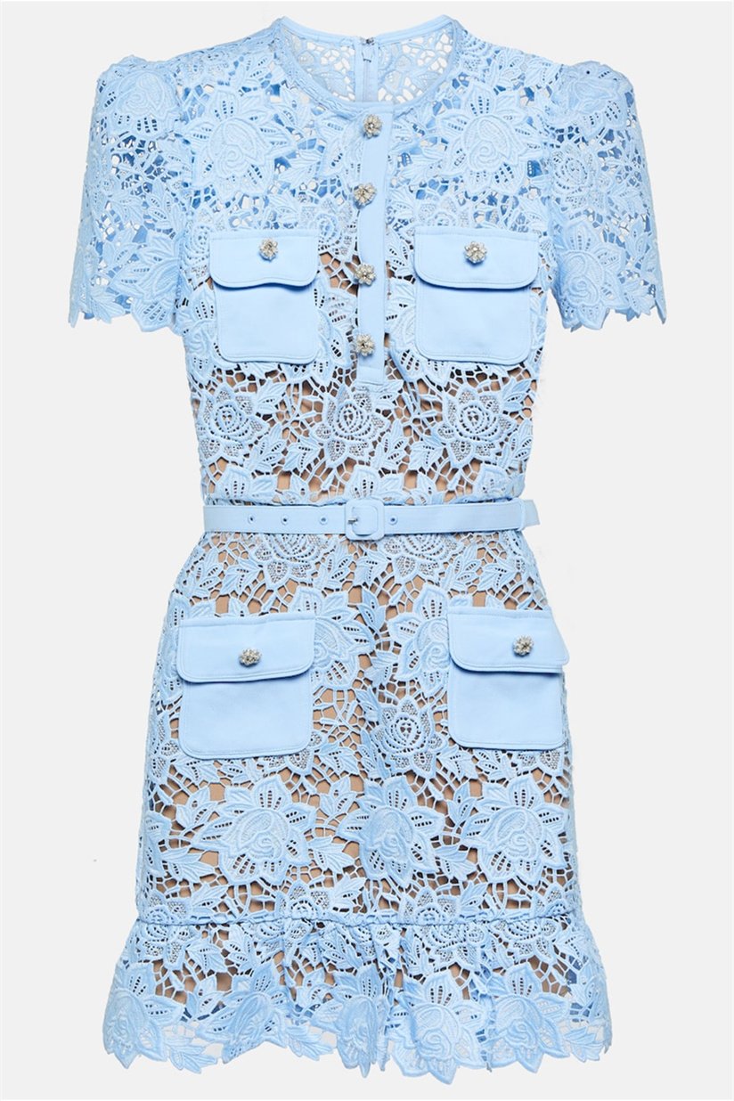 Renata Embroidered Lace Mini Dress