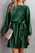 Green Crinkle Velvet Tie Waist Puff Sleeve Mini Dress