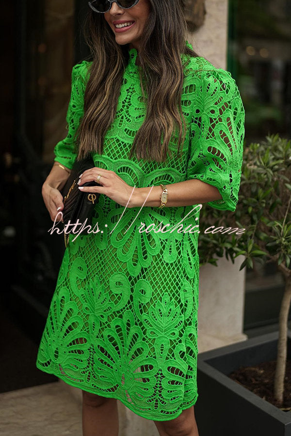 Reason to Smile Crochet Lace Mini Dress