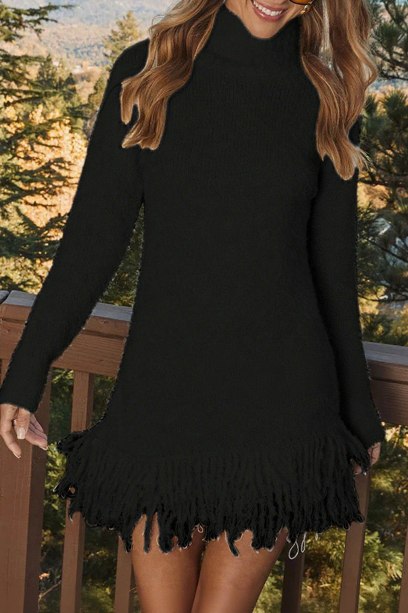 Turtleneck Tassel Knitted Sweater Dress