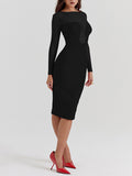 Mesh Paneled Long Sleeves Slim Midi Dress