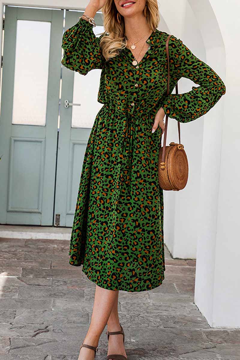 Leopard Print V-neck Midi Dress