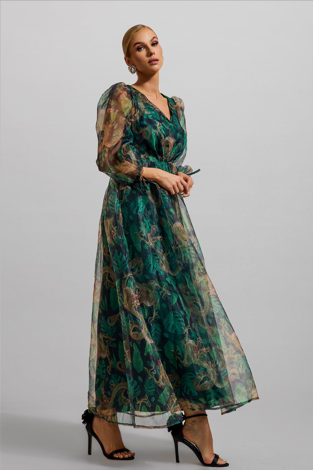 Animal Print Lantern Sleeve Large Hemline Maxi Dress