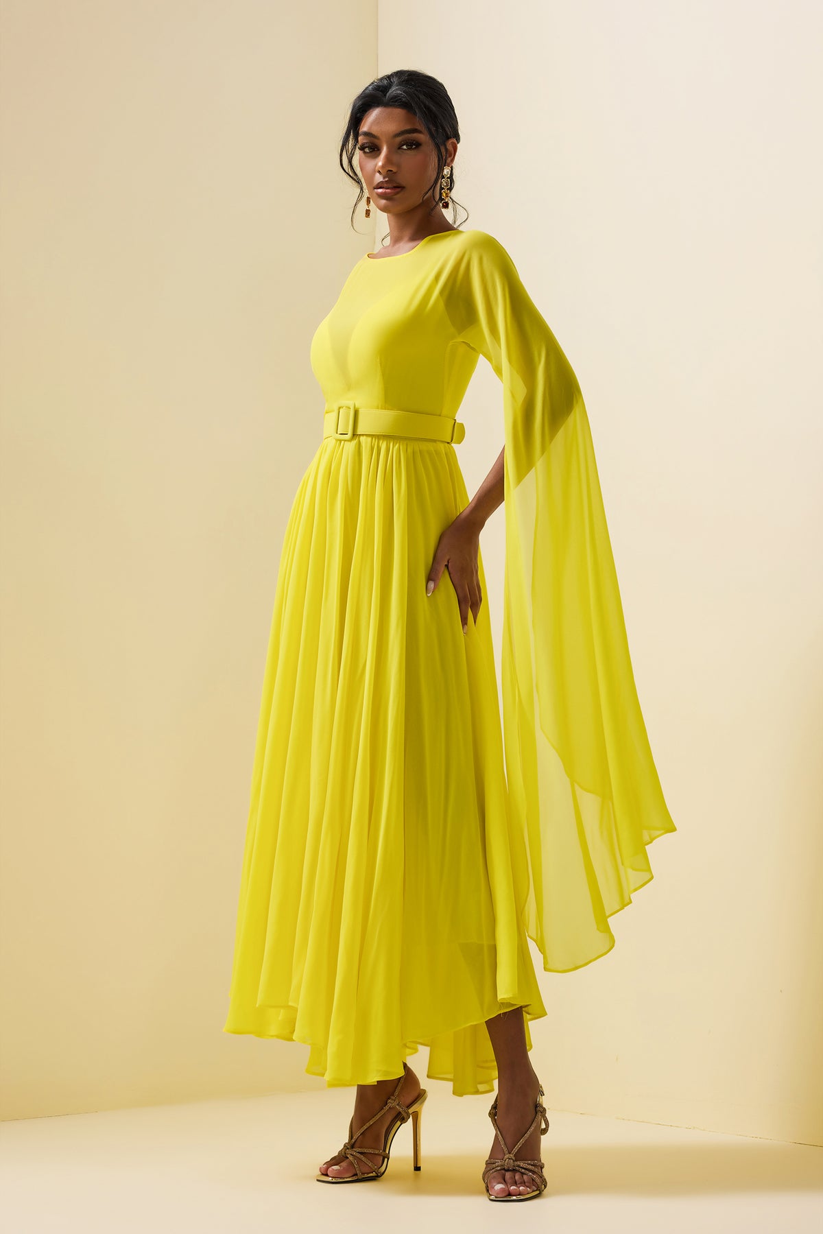 Mesh Cape Sleeve Midi Dress With Belt