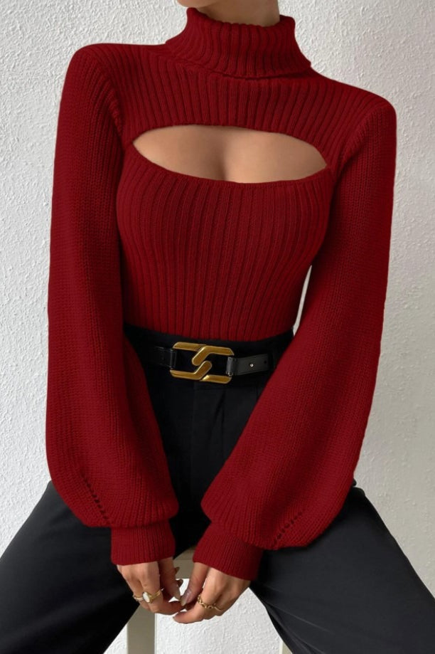 Hollow Out Turtleneck Sweater