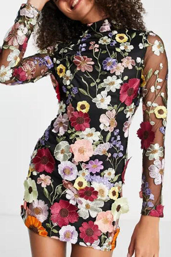 Elegantly Enchanted Applique Backless Long Sleeve Mini Dress