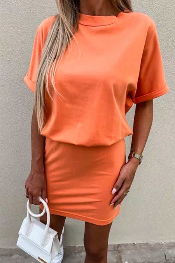 Crewneck Short Sleeve Waisted Mini Dress