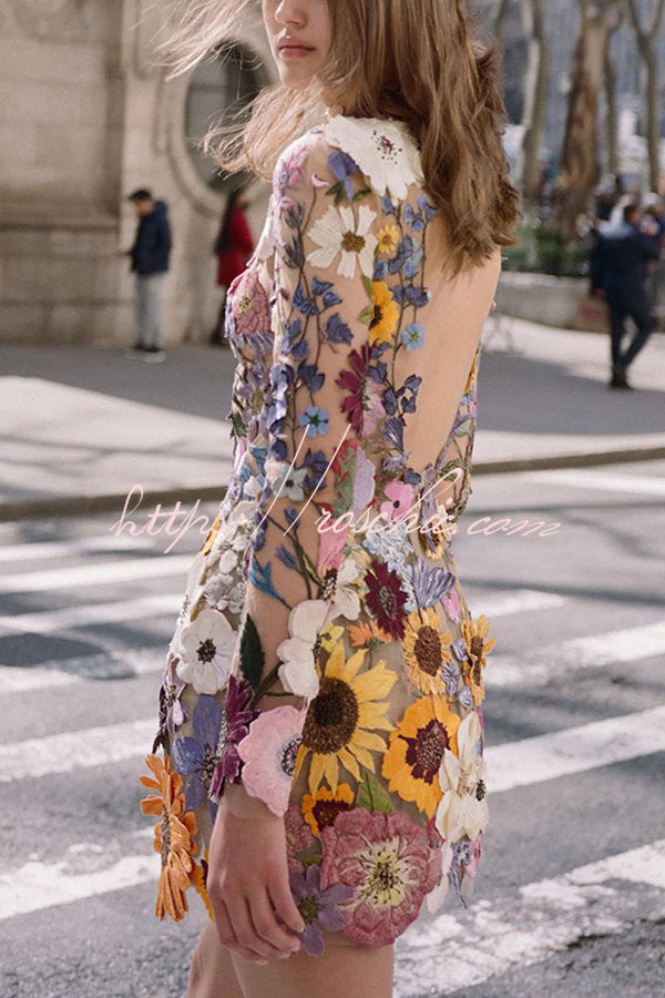 Elegantly Enchanted Applique Backless Long Sleeve Mini Dress