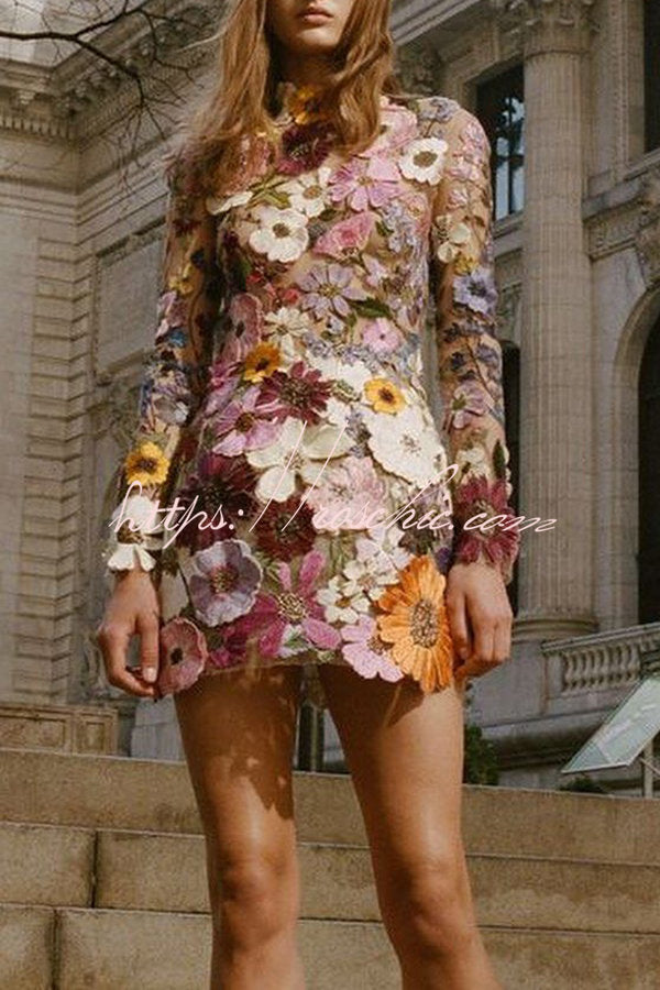 Elegantly Enchanted Applique Backless Long Sleeve Mini Dress