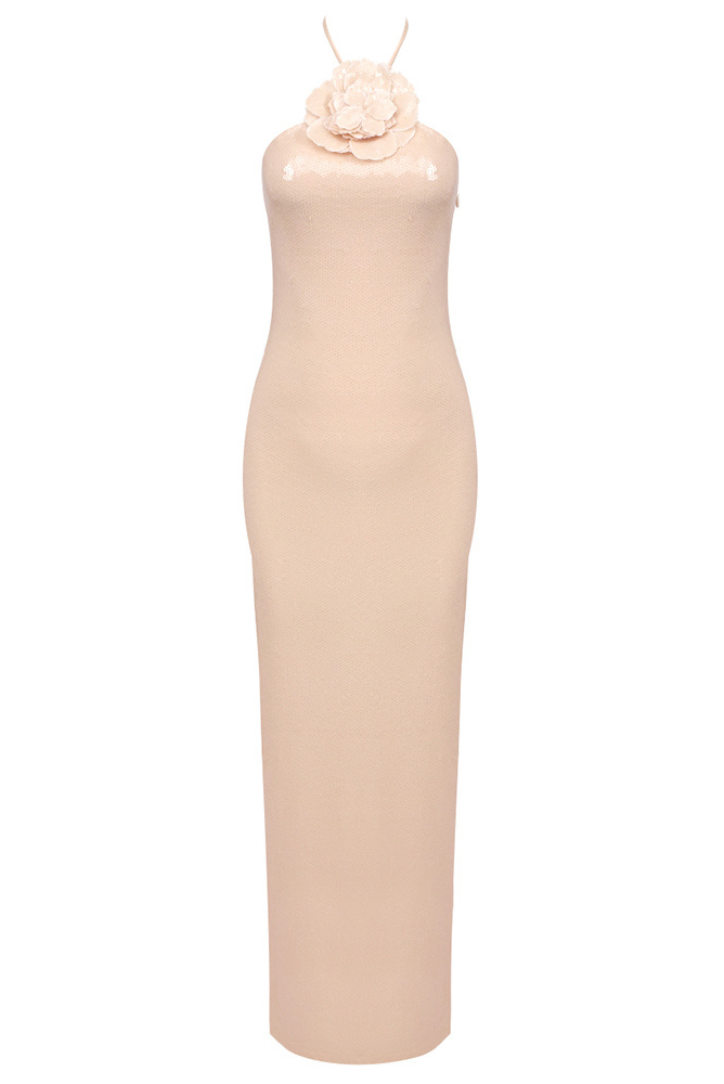 Virginia Applique Sequin Maxi Dress