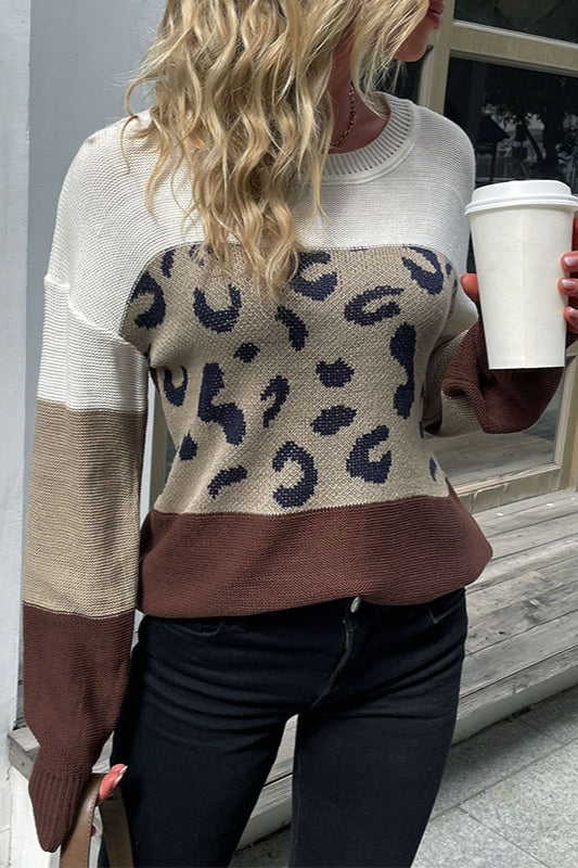 Leopard Contrast Sleeve Sweater