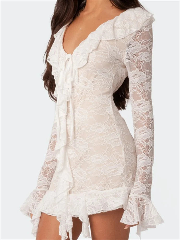 Lace Mesh Long Sleeve Mini Dresses