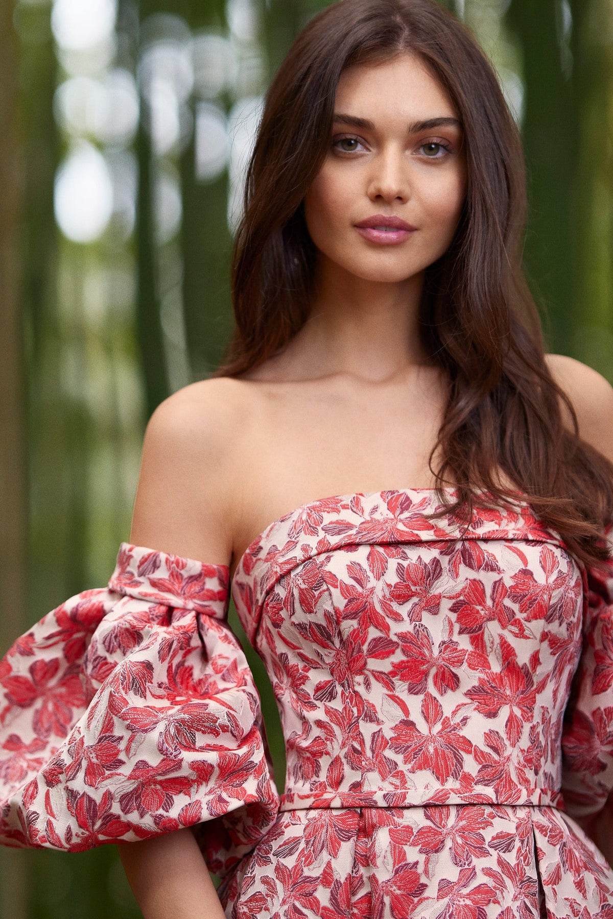 Printed Lantern Sleeve Maxi Dress
