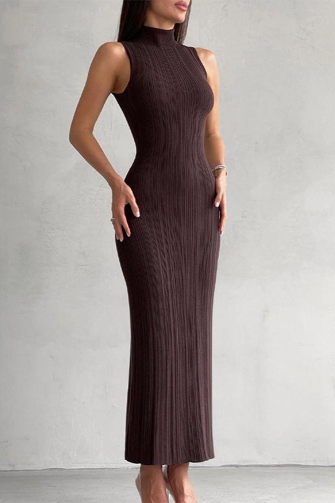 Knitted Turtleneck Sleeveless Slim Maxi Dress