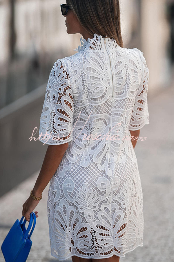 Reason to Smile Crochet Lace Mini Dress