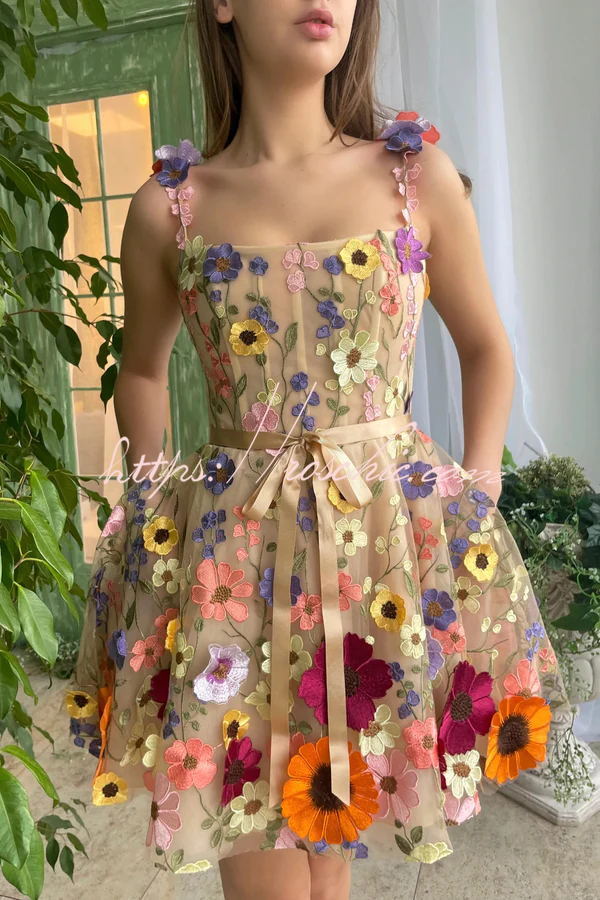 Like a Fairy Embroidery Applique Prom Mini Dress