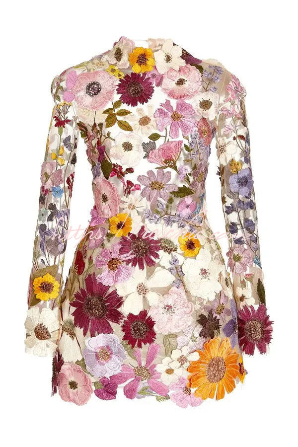 Elegantly Enchanted Applique Backless Long Sleeve Mini Dress