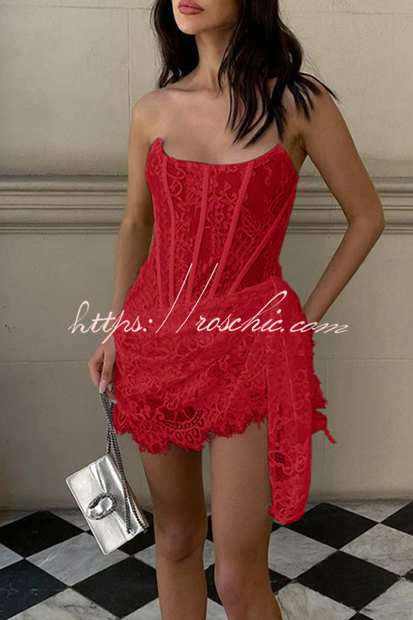 Amazing Lace Mesh Off Shoulder Slightly See Through Slim Fit Mini Dress