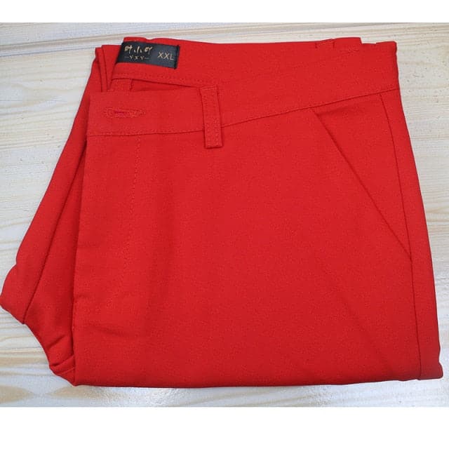 Slim Straight Trousers Pants All Match Spring Legging Pants S-4xl Ankle-length Pants